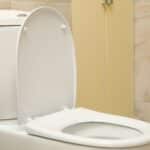 Toilet Seat Price in India Toilet Seat Price in India