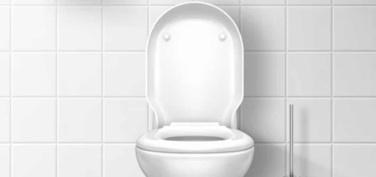 Top 10 Toilet Seat Brands in India